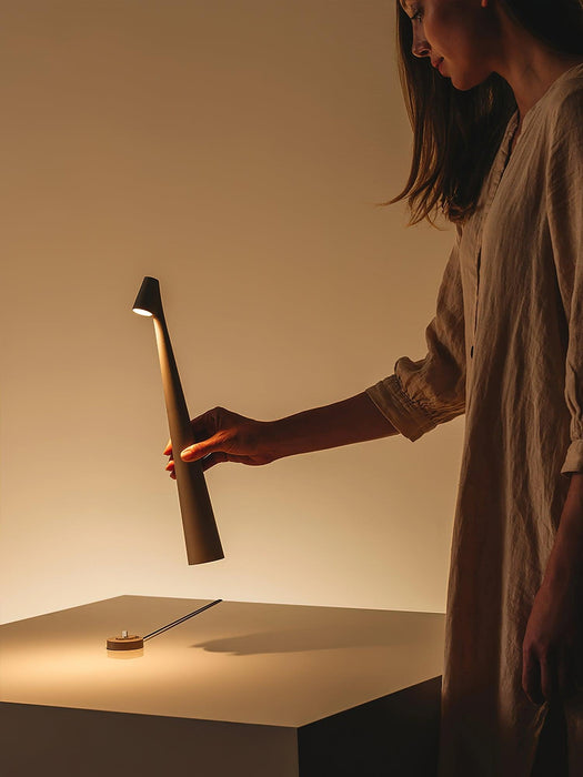 Africa Portable Table Lamp-DWHOME