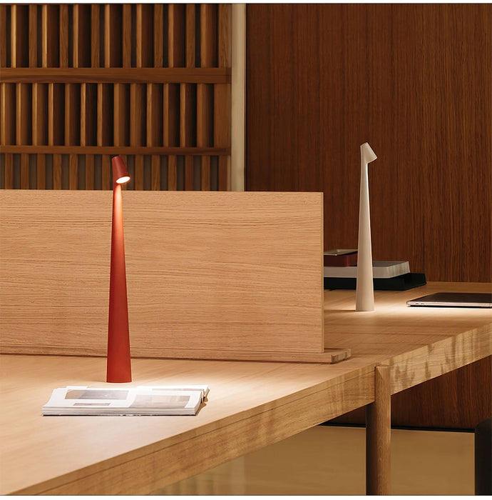 Africa Portable Table Lamp-DWHOME