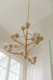 Agave Americana Chandelier-DWHOME