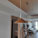 Agnes Retro Pendant Lamp.