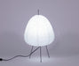 Xuanzhi Table Lamp - Vakkerlight