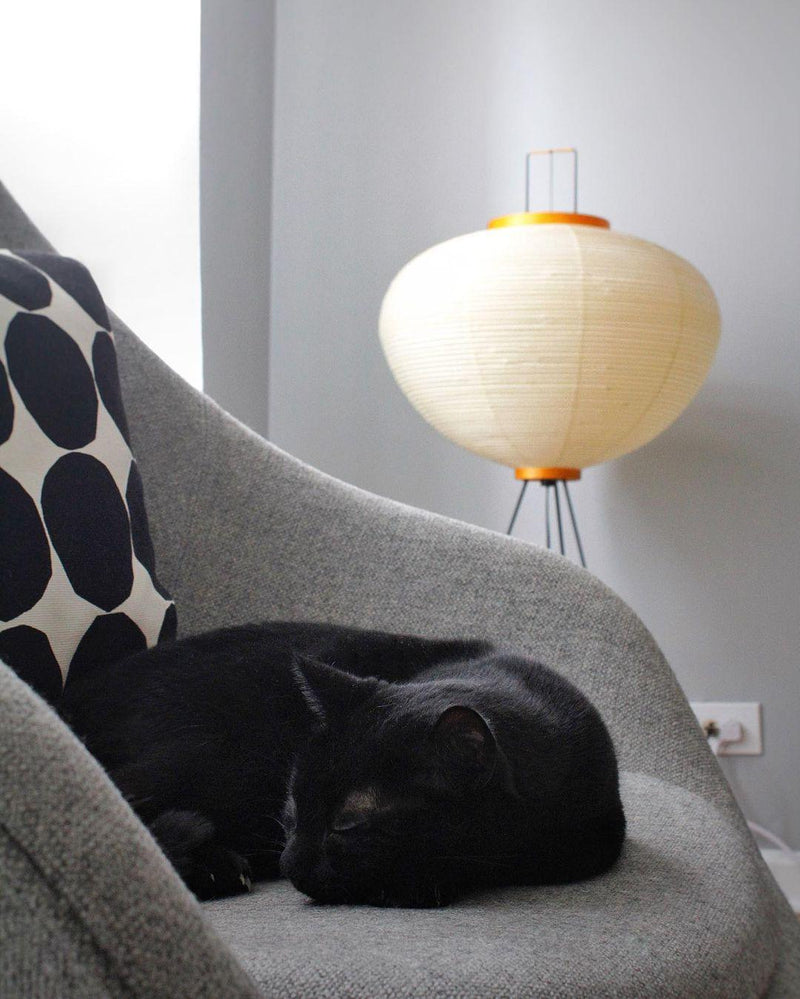 Rice Paper Floor Lamp-DWHOME