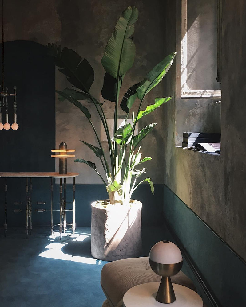 Alabaster Comet Table Lamp-DWHOME