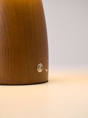 Myco Mushroom Table Lamp-DWHOME