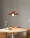 Alien Pendant Lamp-DWHOME