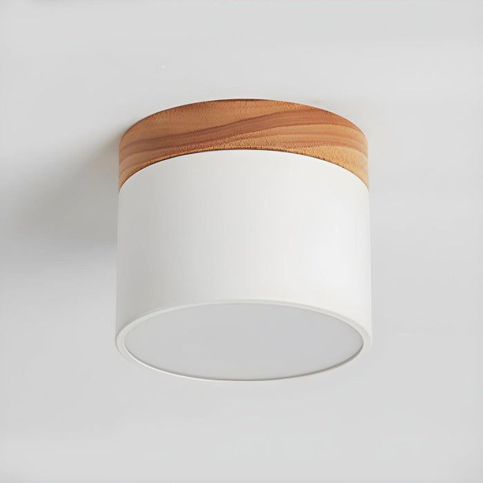 Alva Wooden Surface Downlight - DWHOME