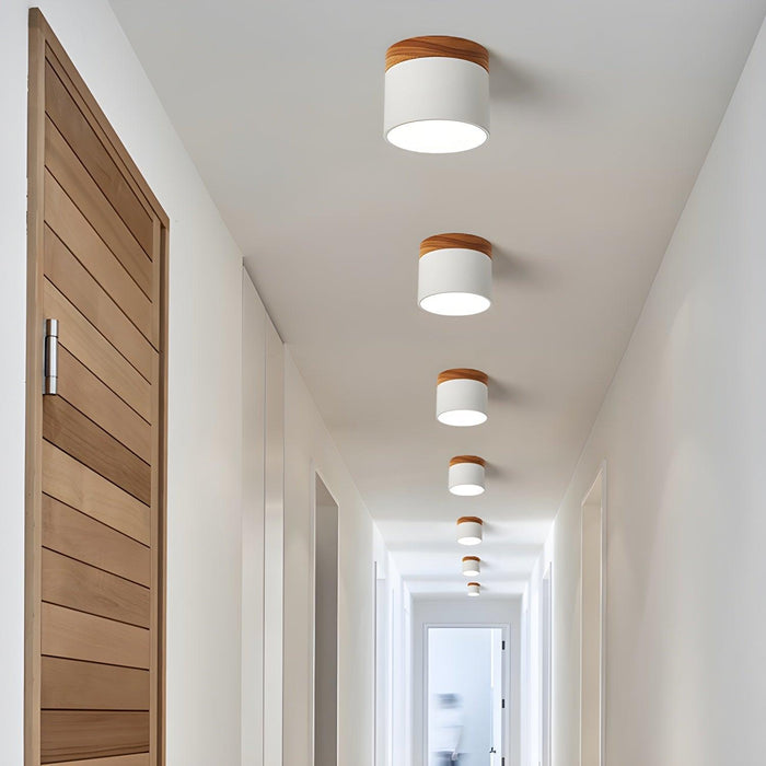 Alva Wooden Surface Downlight - DWHOME