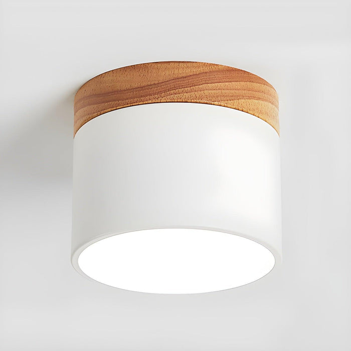 Alva Wooden Surface Downlight - DWHOME