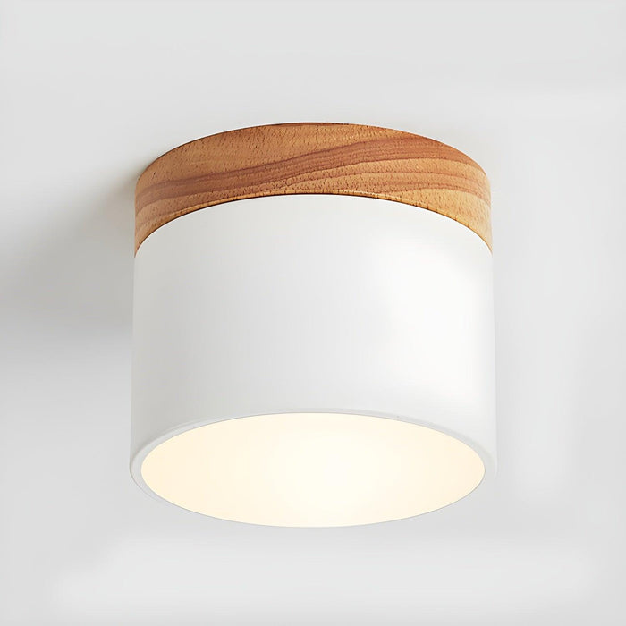 Alva Wooden Surface Downlight - DWHOME