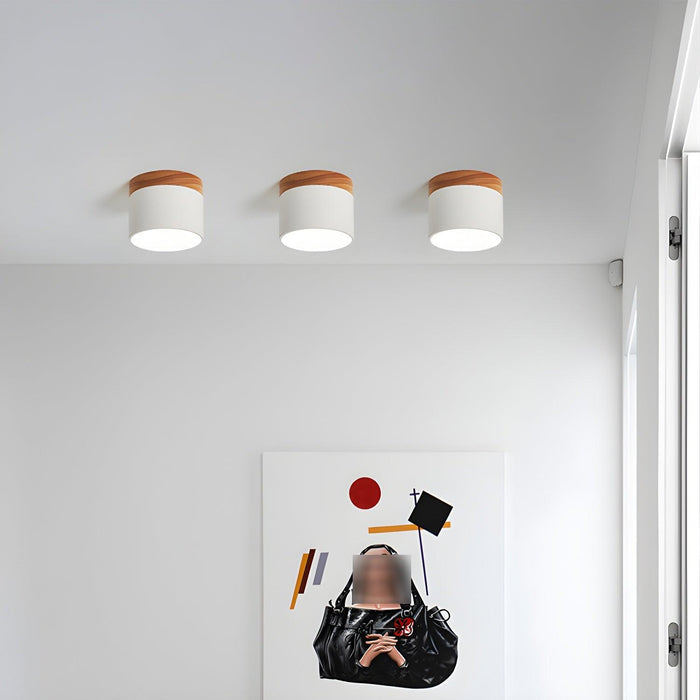 Alva Wooden Surface Downlight - DWHOME