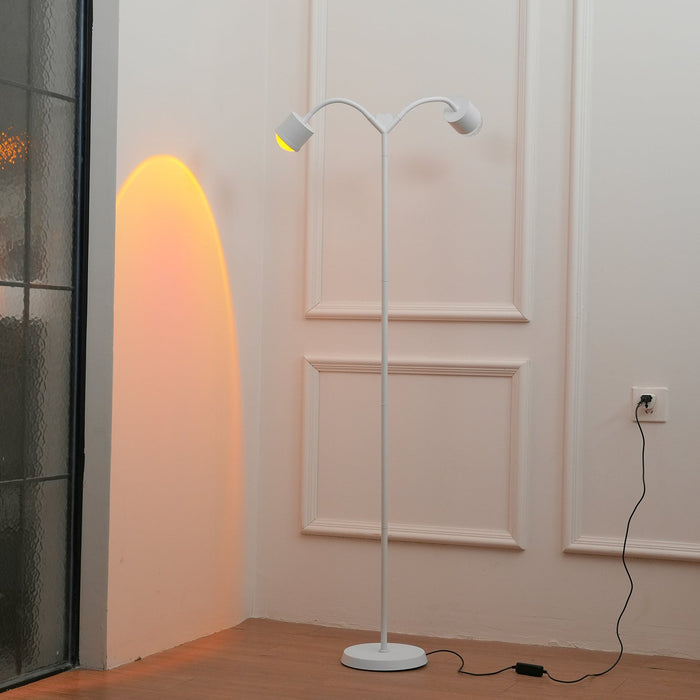 Ambient Floor Lamp.