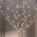 Amos Light Group Chandelier - DWHOME