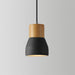 Andenon Cement Pendant Light-DWHOME