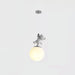 Animal And Moon Pendant Light.