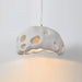 Ant Nest Pendant Lamp-DWHOME