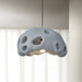 Ant Nest Pendant Lamp-DWHOME