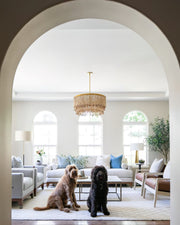 Antigua Chandelier-DWHOME