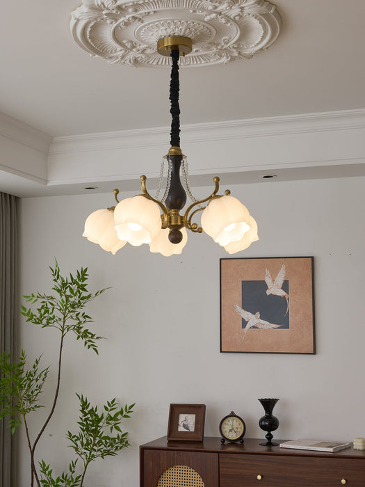 Antonia Chandelier-DWHOME