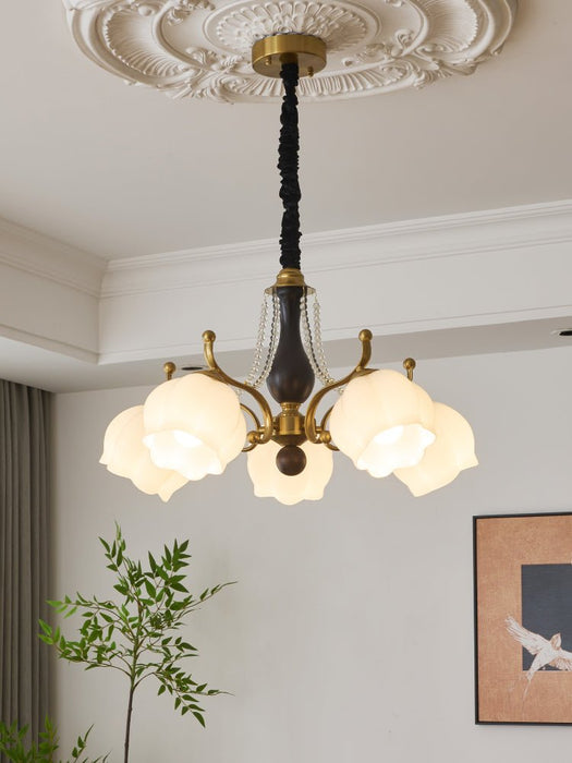 Antonia Chandelier-DWHOME