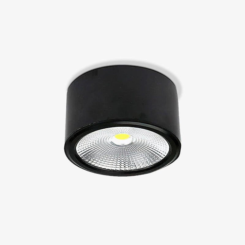 Anzio Spotlights-DWHOME