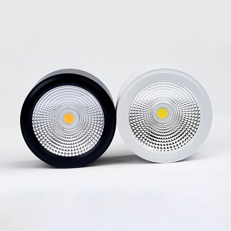 Anzio Spotlights-DWHOME