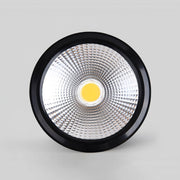 Anzio Spotlights-DWHOME