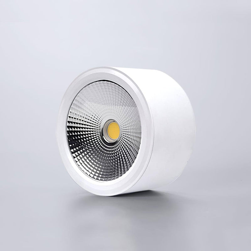Anzio Spotlights-DWHOME