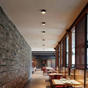 Anzio Spotlights-DWHOME
