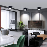 Anzio Spotlights-DWHOME