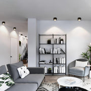 Anzio Spotlights-DWHOME