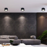 Anzio Spotlights-DWHOME