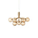 Lumiflora Chandelier - DWHOME