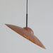 Arcadian Pendant Light.