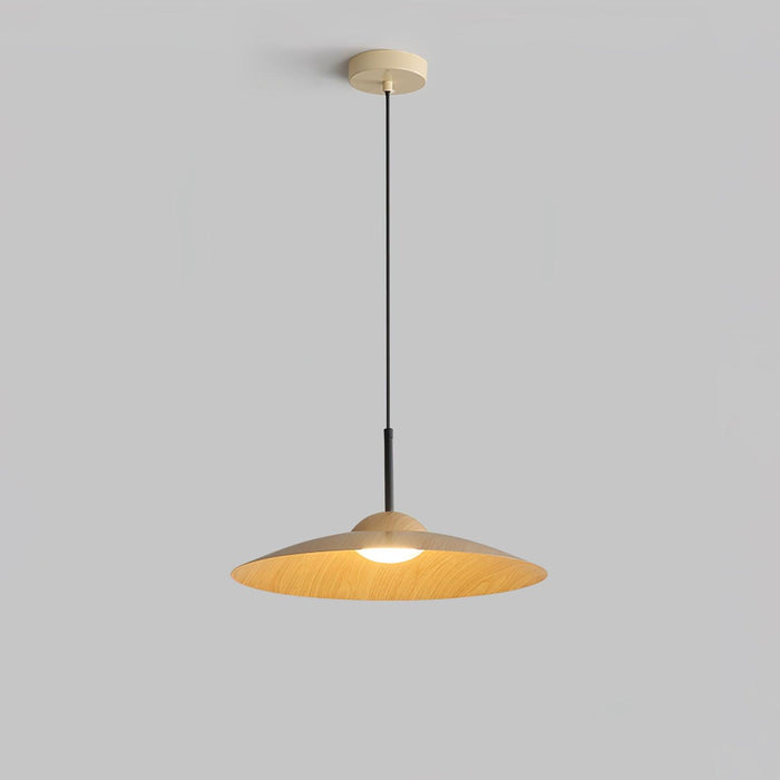 Arcadian Pendant Light.