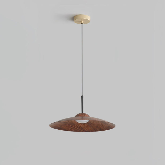 Arcadian Pendant Light.