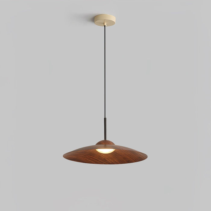 Arcadian Pendant Light.