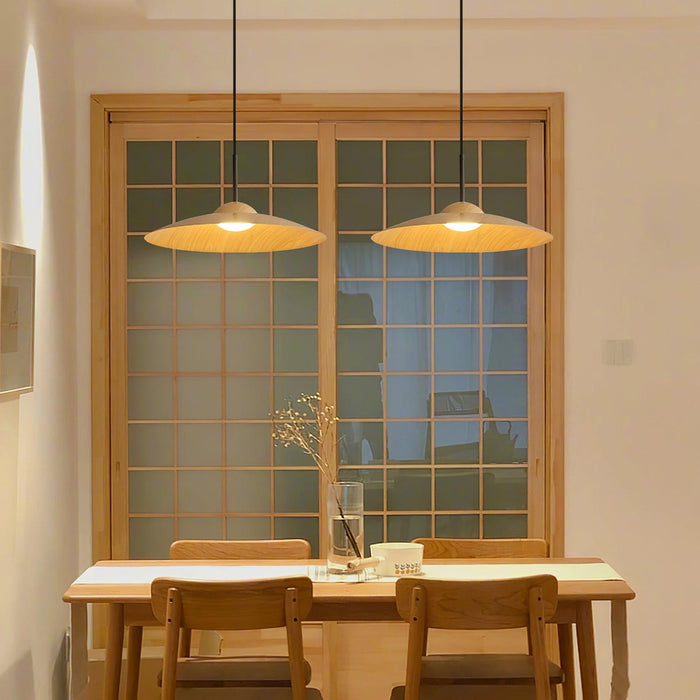 Arcadian Pendant Light-DWHOME