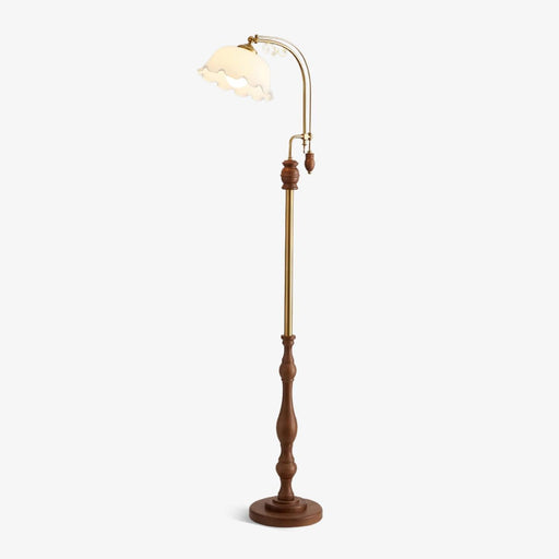 Arch Curves Floor Lamp - DWHOME