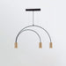 Arcs Pendant Light - Vakkerlight