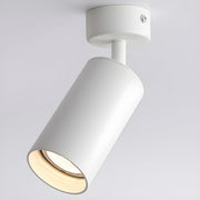 Arlo Accent Spotlight-DWHOME