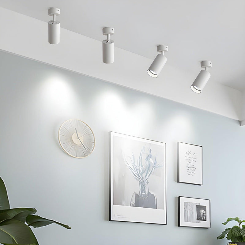 Arlo Accent Spotlight-DWHOME
