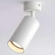 Arlo Accent Spotlight-DWHOME