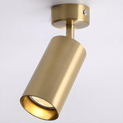 Arlo Accent Spotlight-DWHOME