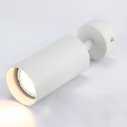 Arlo Accent Spotlight-DWHOME