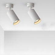 Arlo Accent Spotlight-DWHOME