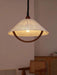 Arta Pendant Lamp-DWHOME
