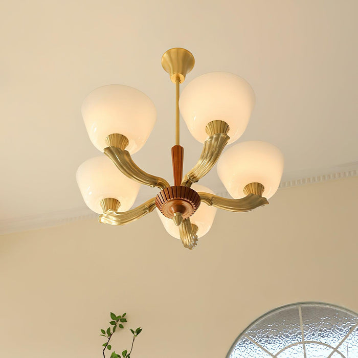 Ascher Chandelier - DWHOME