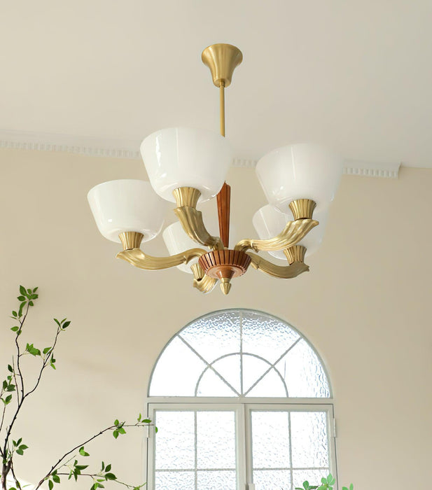 Ascher Chandelier - DWHOME