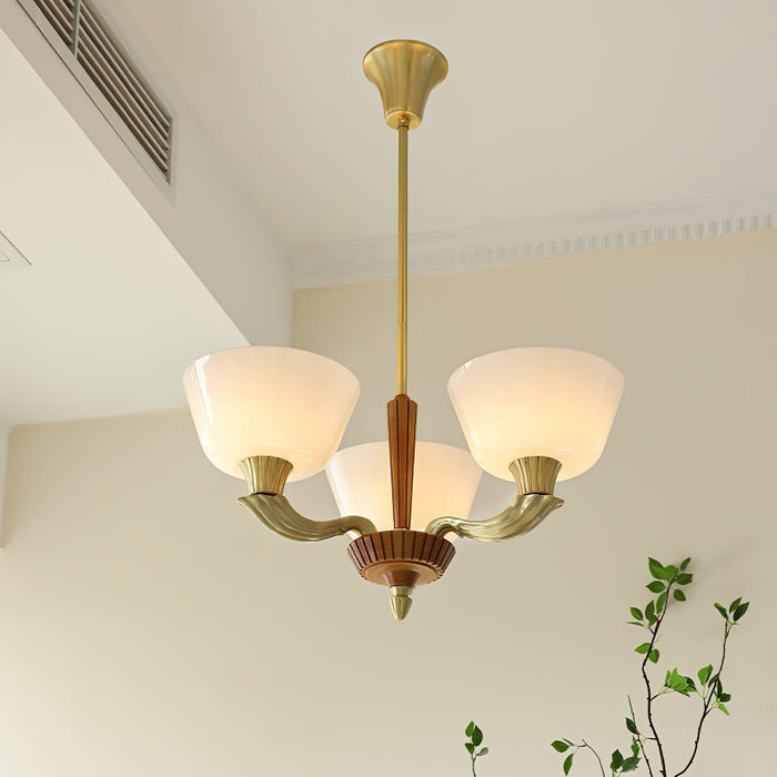 Ascher Chandelier - DWHOME