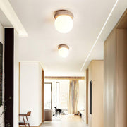 Asteroid Ceiling Lamp-DWHOME
